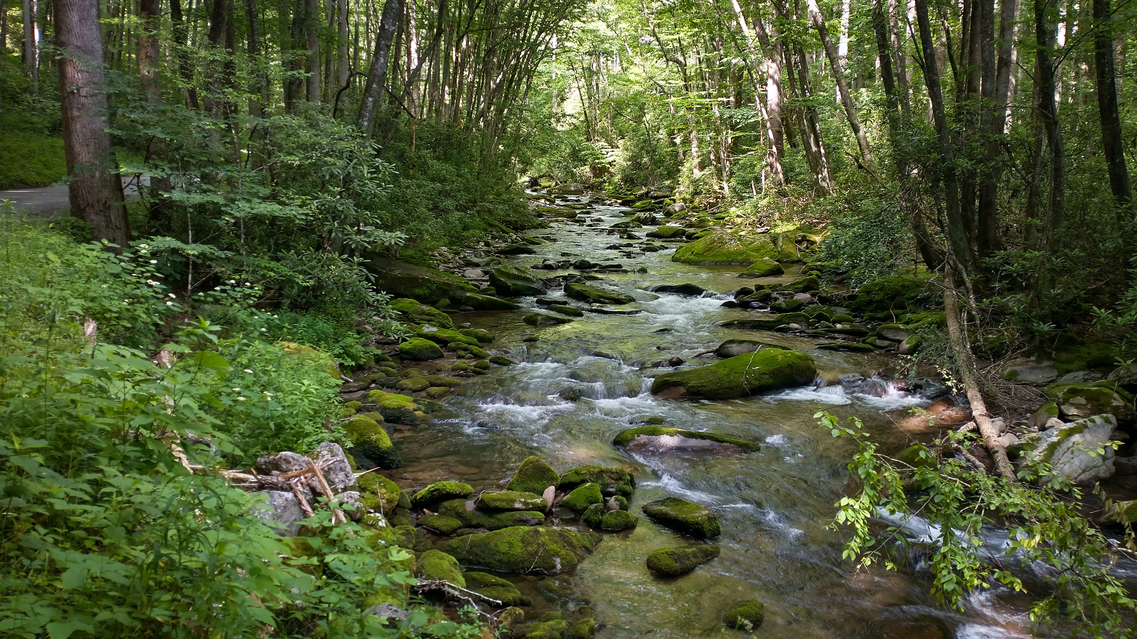 Apalachia Stream