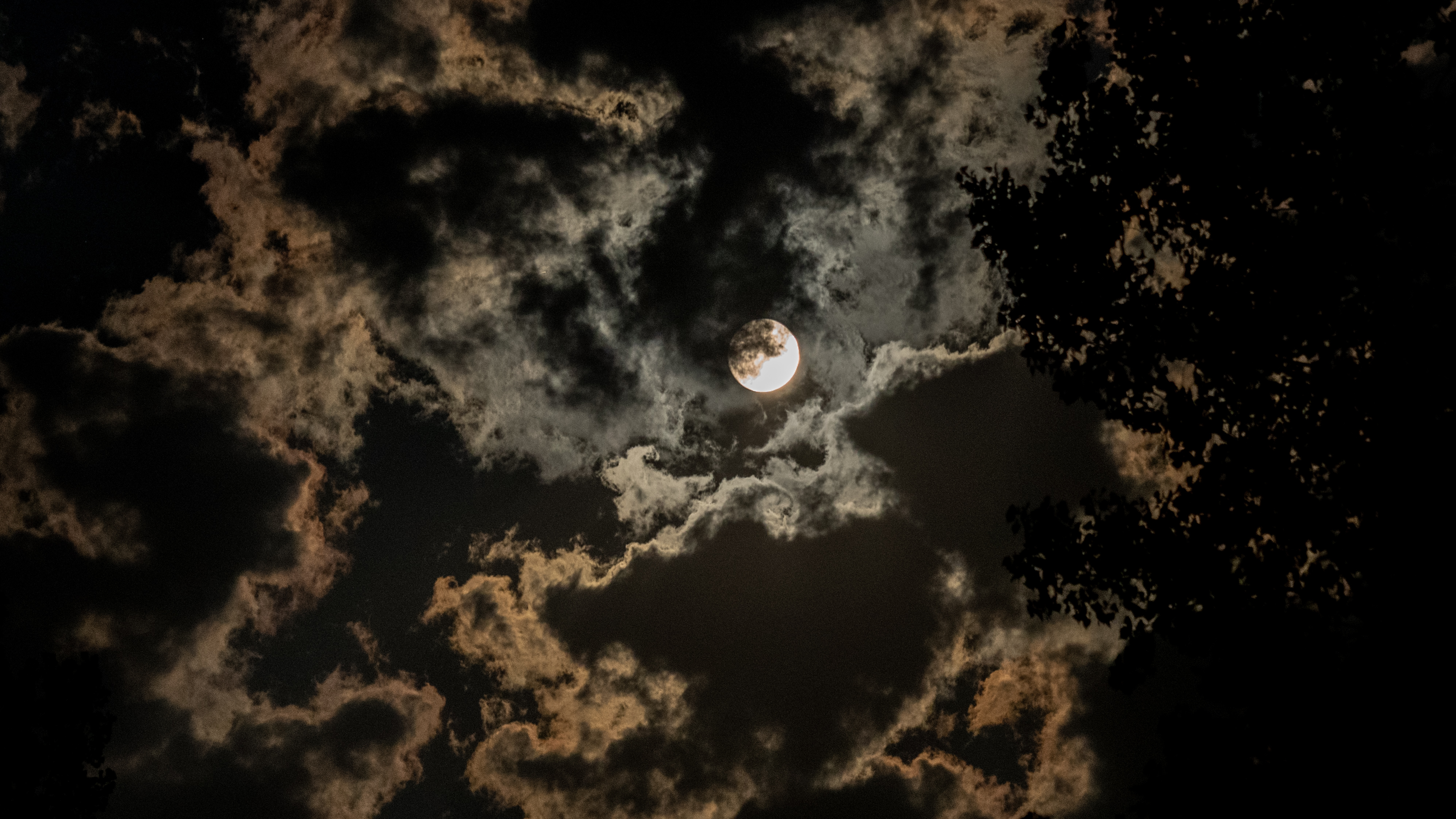 The Moon