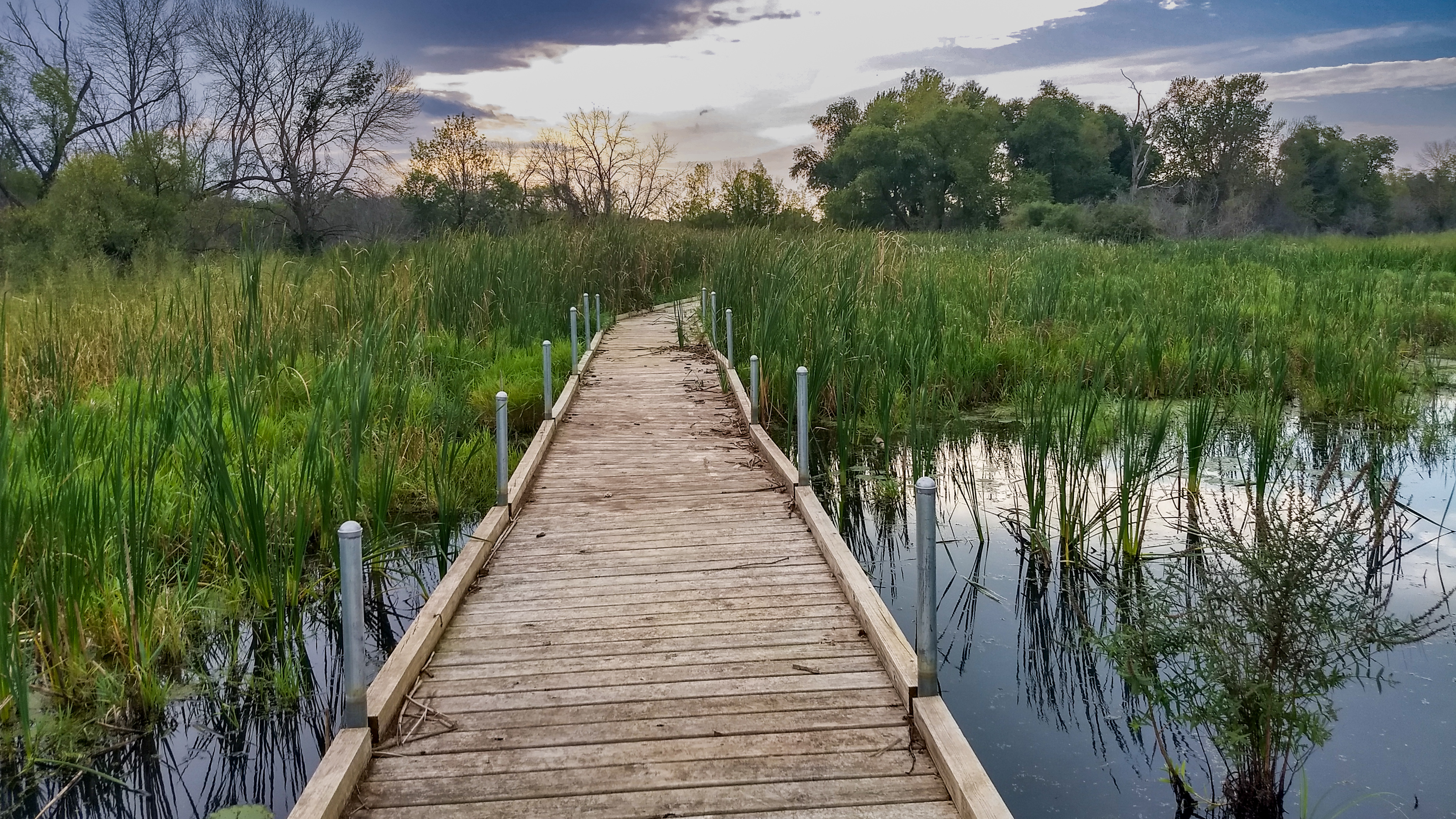 Trempealeau Wildlife Refuge, WI