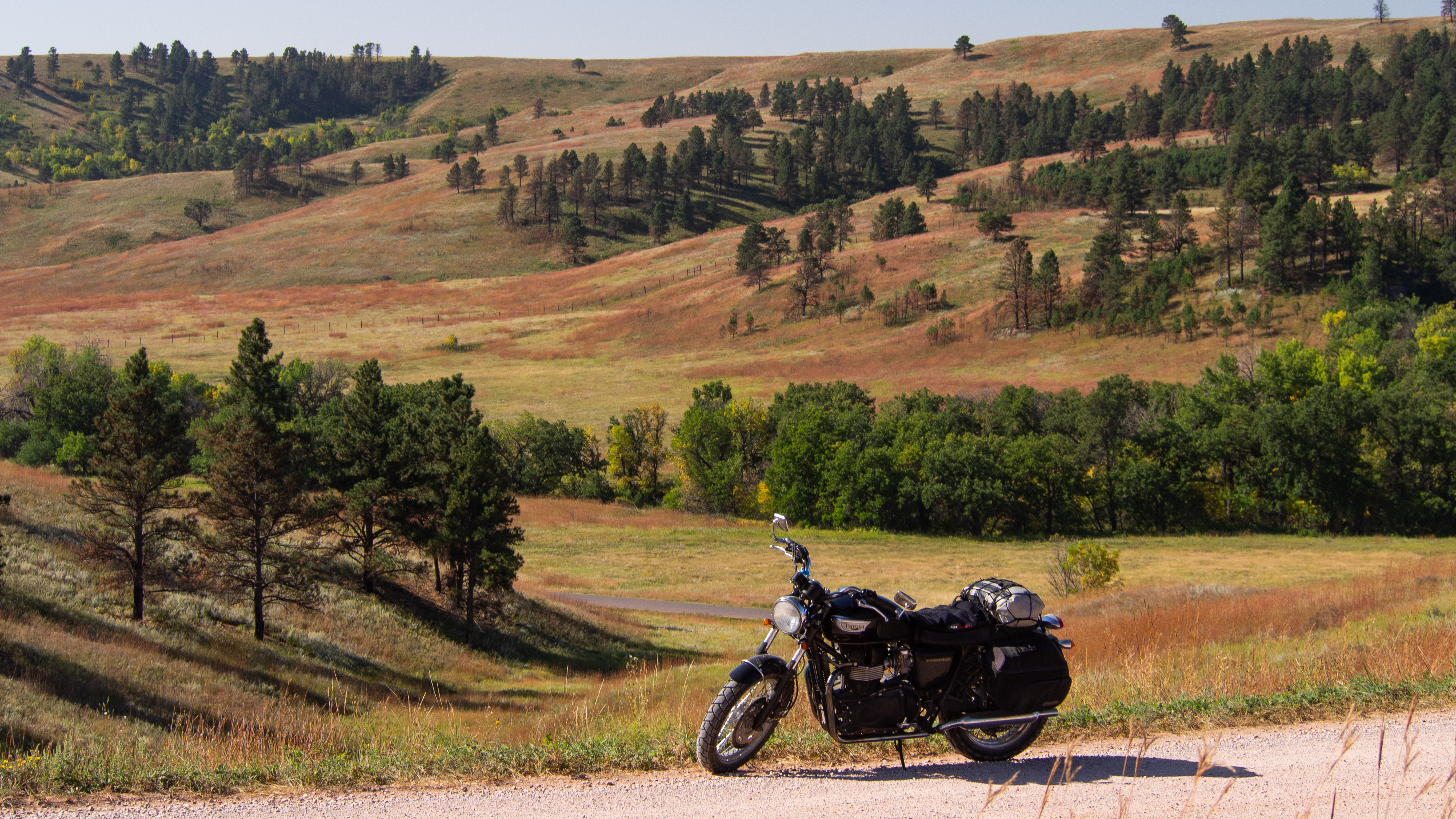 Wind Cave Grassland Bonnie